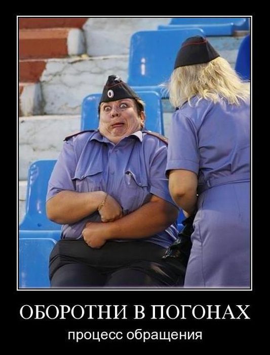 http://jokesland.net.ru/dem/demotivatory_193/11.jpg