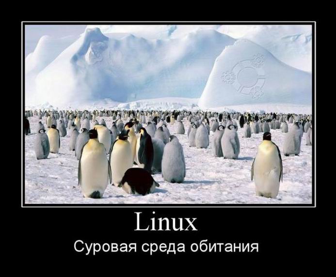 Linux. Суровая среда обитания
