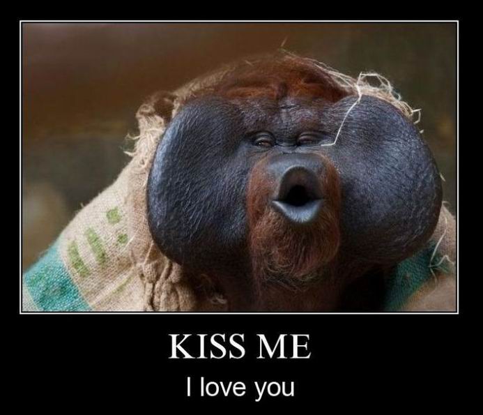 Kiss me. I love you