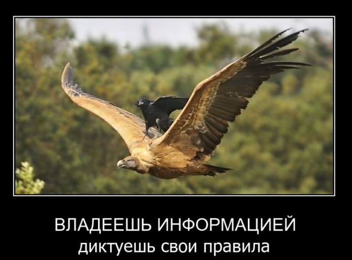 Владеешь информацией, диктуешь свои правила