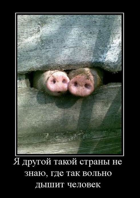 Я другой такой страны не знаю