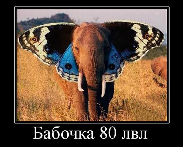 Бабочка 80 lvl