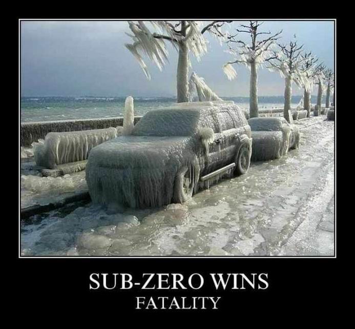 Sub-Zero Wins. Fatality