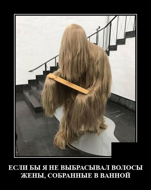 Волосы жены
