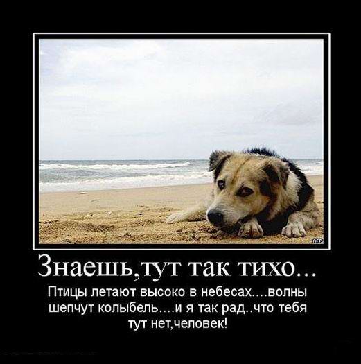 Знаешь, тут так тихо