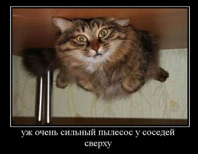 Уж очень сильныи пылесос у соседей сверху