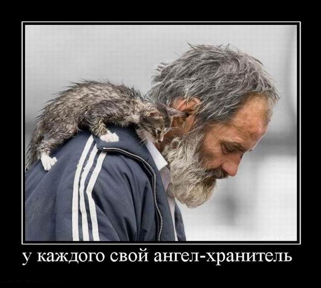 У каждого свой ангел-хранитель
