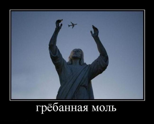 Грёбанная моль