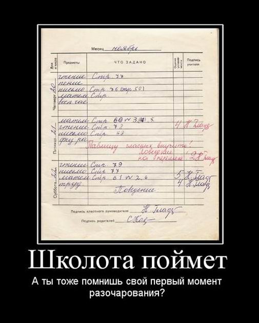 Школота поймет