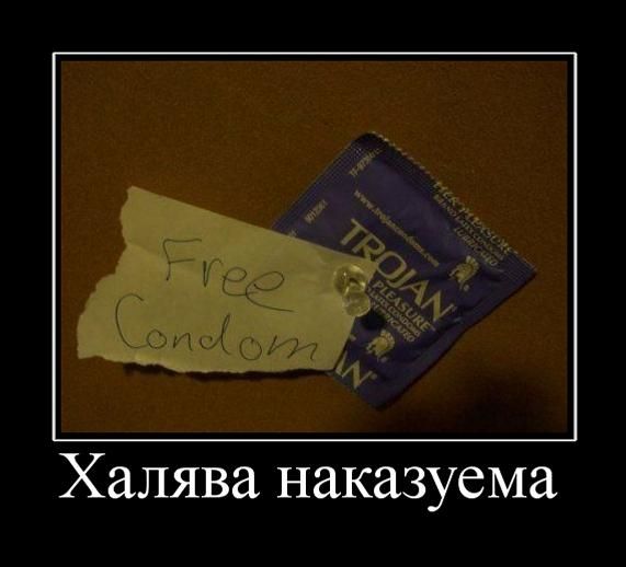 Халява наказуема