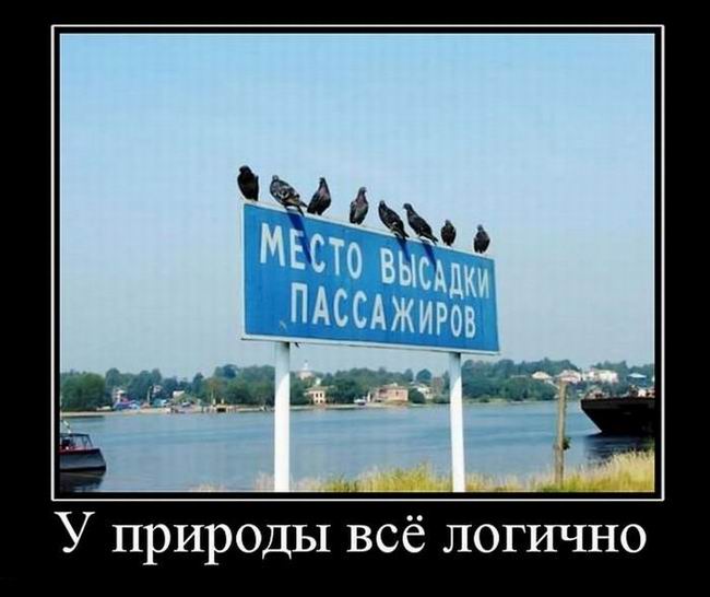 У природы всё логично