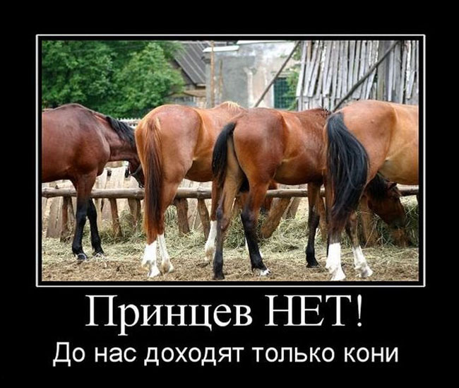 Принцев нет!