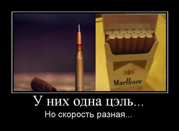 У них одна цэль... Но скорость разная...
