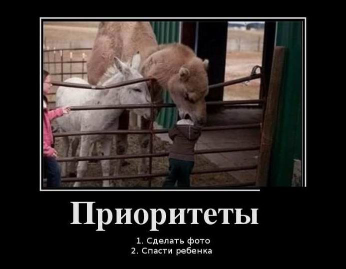 Приоритеты