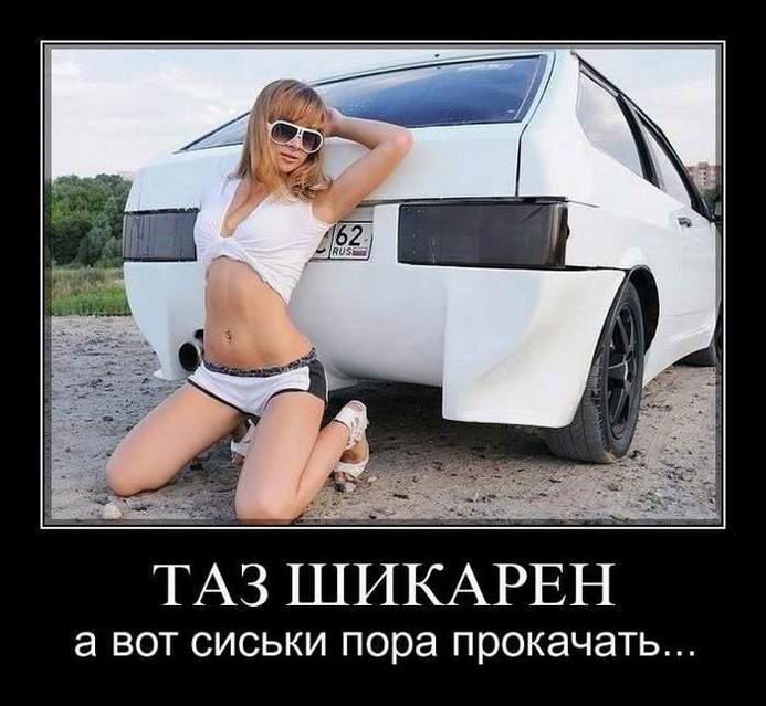 Таз шикарен
