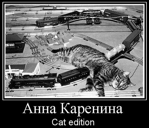 ���� ��������. Cat Edition