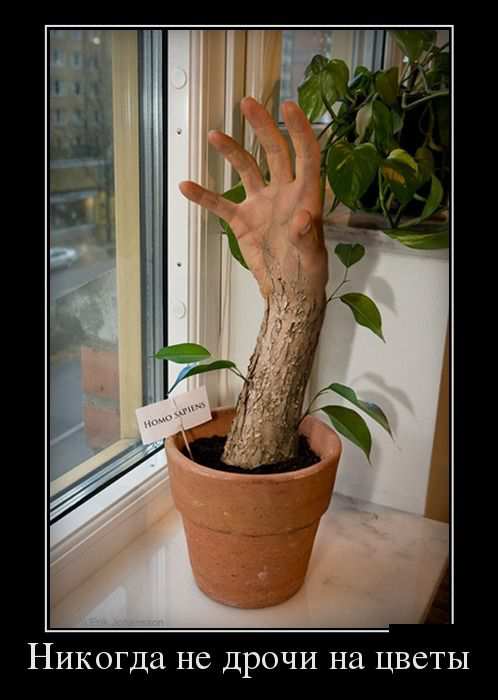 ������� �� ����� �� �����