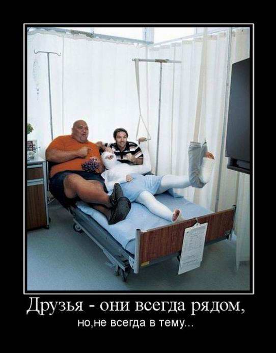 Друзья всегда рядом