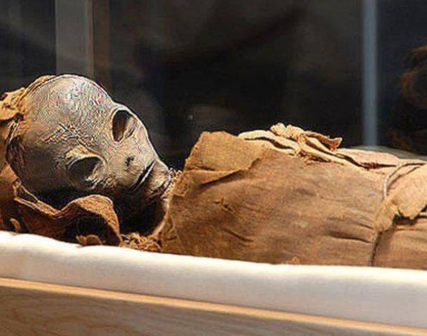 Мумия пришельца найденная в Египте