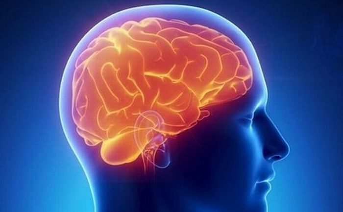 Современная наука может позволить себе оперировать мозг пациенту при сохранении его сознания