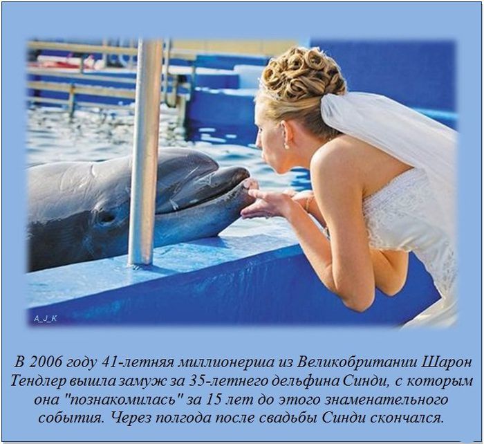 Шарон Тендлер вышла замуж за 35-летнего дельфина Синди