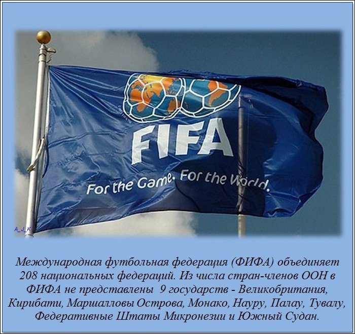 Международная футбольная федерация (ФИФА)