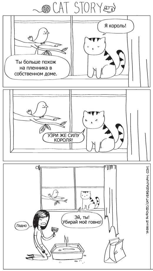Cat Story - История кота