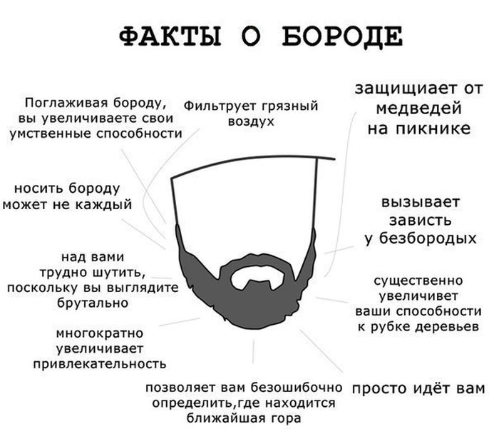 Факты о бороде