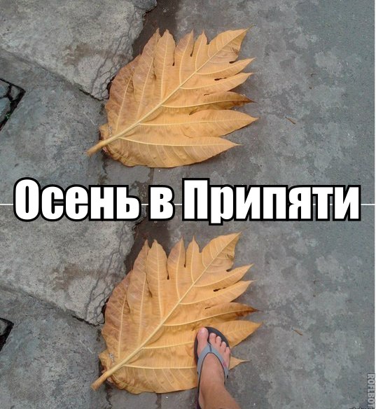 Осень в Припяти