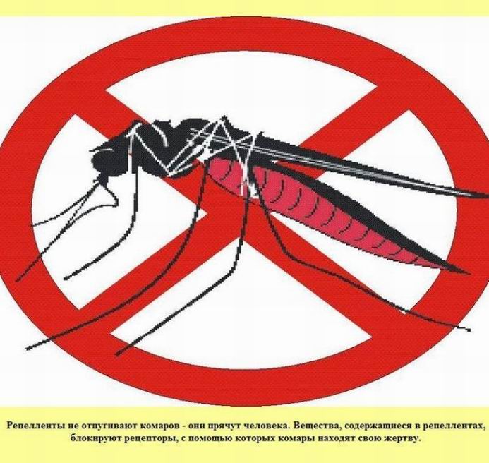 Репелленты не отпугивают комаров