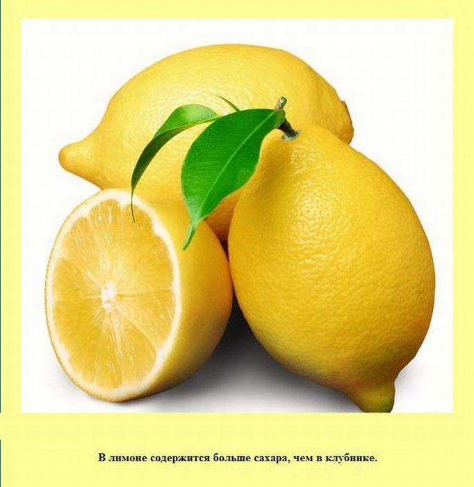 В лимоне содержится больше сахара, чем в клубнике