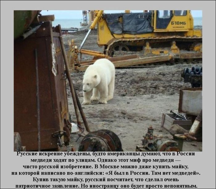 в России медведи ходят по улицам