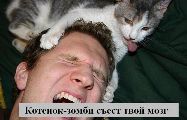 http://jokesland.net.ru/pc/kotopodpisi/42.jpg