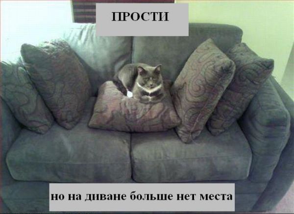 http://jokesland.net.ru/pc/kotopodpisi/49.jpg