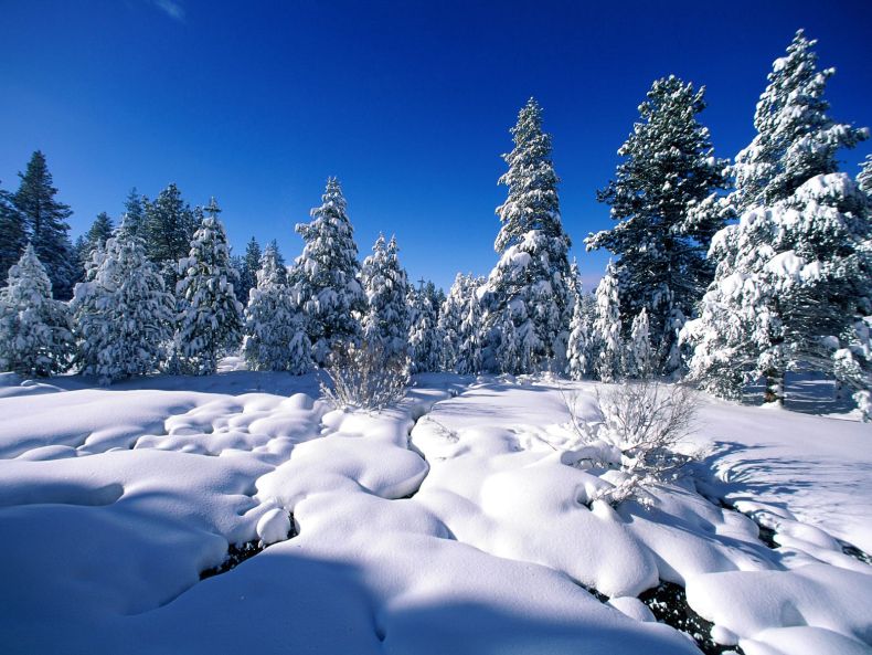 Текст и перевод песни Let it snow - Пусть идет снег!