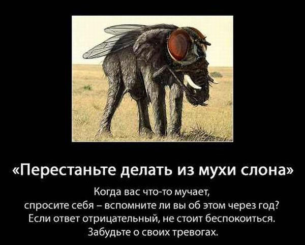 Перестаньте делать из мухи слона