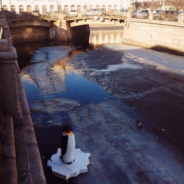 В Санкт-Петербурге в канале Грибоедова появился пингвин