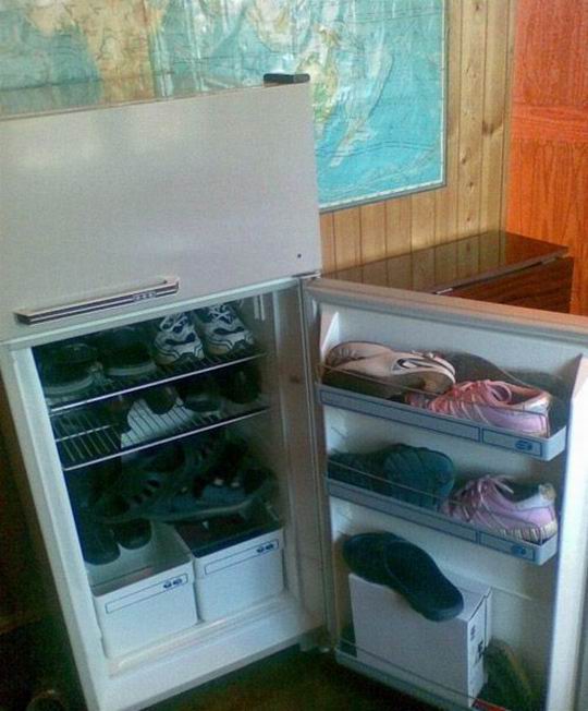 Обувной холодильник