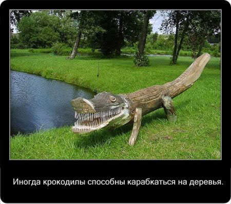 Крокодилы способны карабкаться