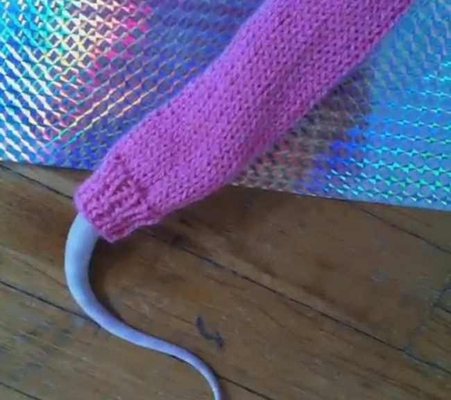свитер для змеи